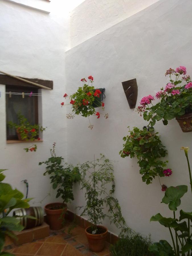 Casa Los Tres Aires El Rocío Exteriér fotografie